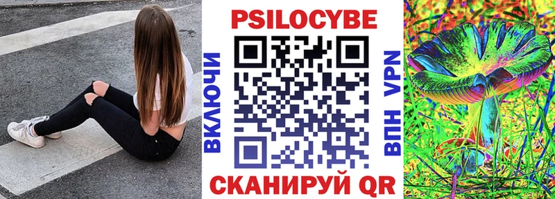 купить наркотики сайты  Покров  Галлюциногенные грибы Psilocybine cubensis 