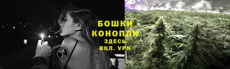 Бошки марихуана White Widow  Покров 